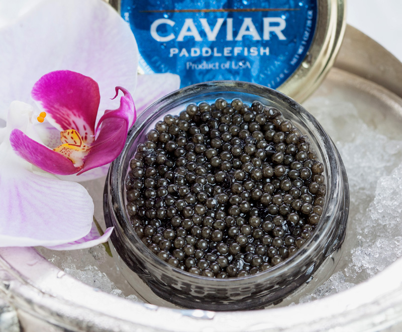 Paddlefish Caviar 